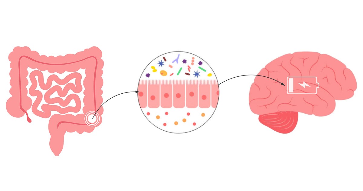 Constipation may increase cognitive decline risk by 73%