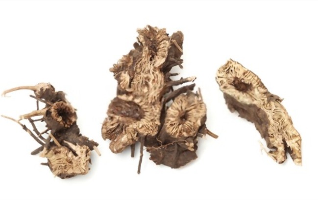 Black Cohosh