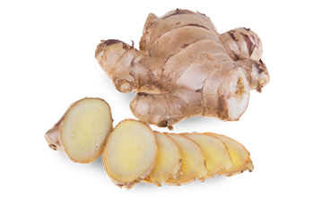 Ginger - gan jiang