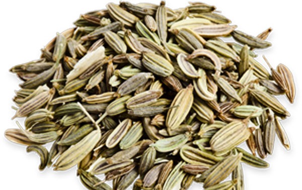 Fennel
